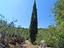 Immagine 21