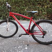 Bici uomo + accessori