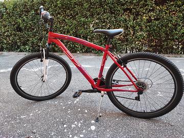 Bici uomo + accessori