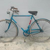 Bici da uomo Stelvio