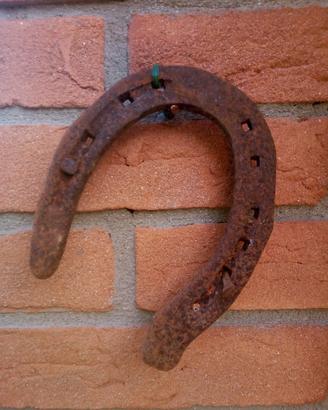 Ferro di cavallo