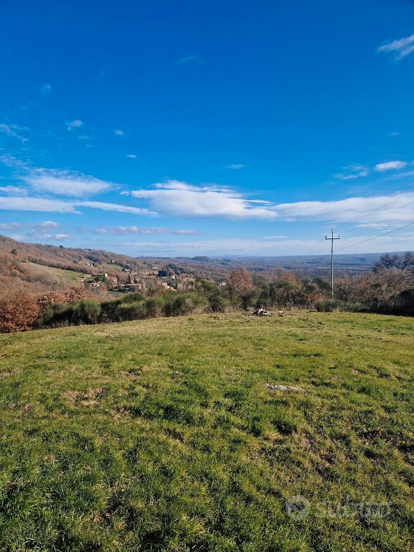 Terreno 6 Ettari con 2 Annessi Agricoli, Bosco e G - Vista 4