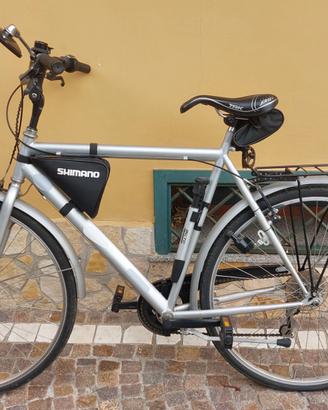 Bici da passeggio