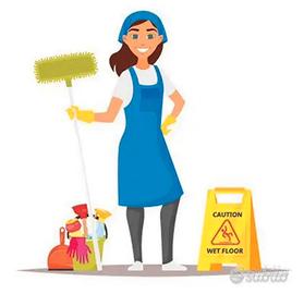 Pulizie domestiche a Pavia città