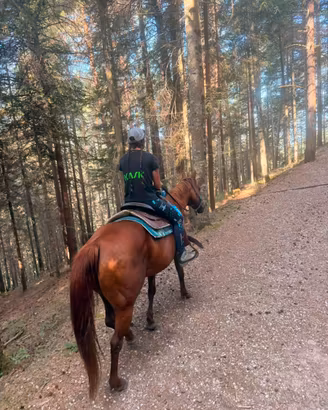 Cavallo