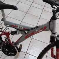 Mountain Bike Full Suspension usata pochissimo