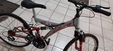 Mountain Bike Full Suspension usata pochissimo
