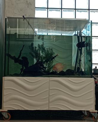 Acquario 420L