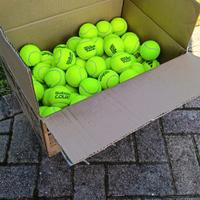 cartone 80 palline usate padel