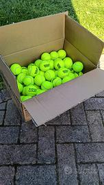 cartone 80 palline usate padel