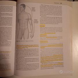 libro medicina tradizionale cinese 