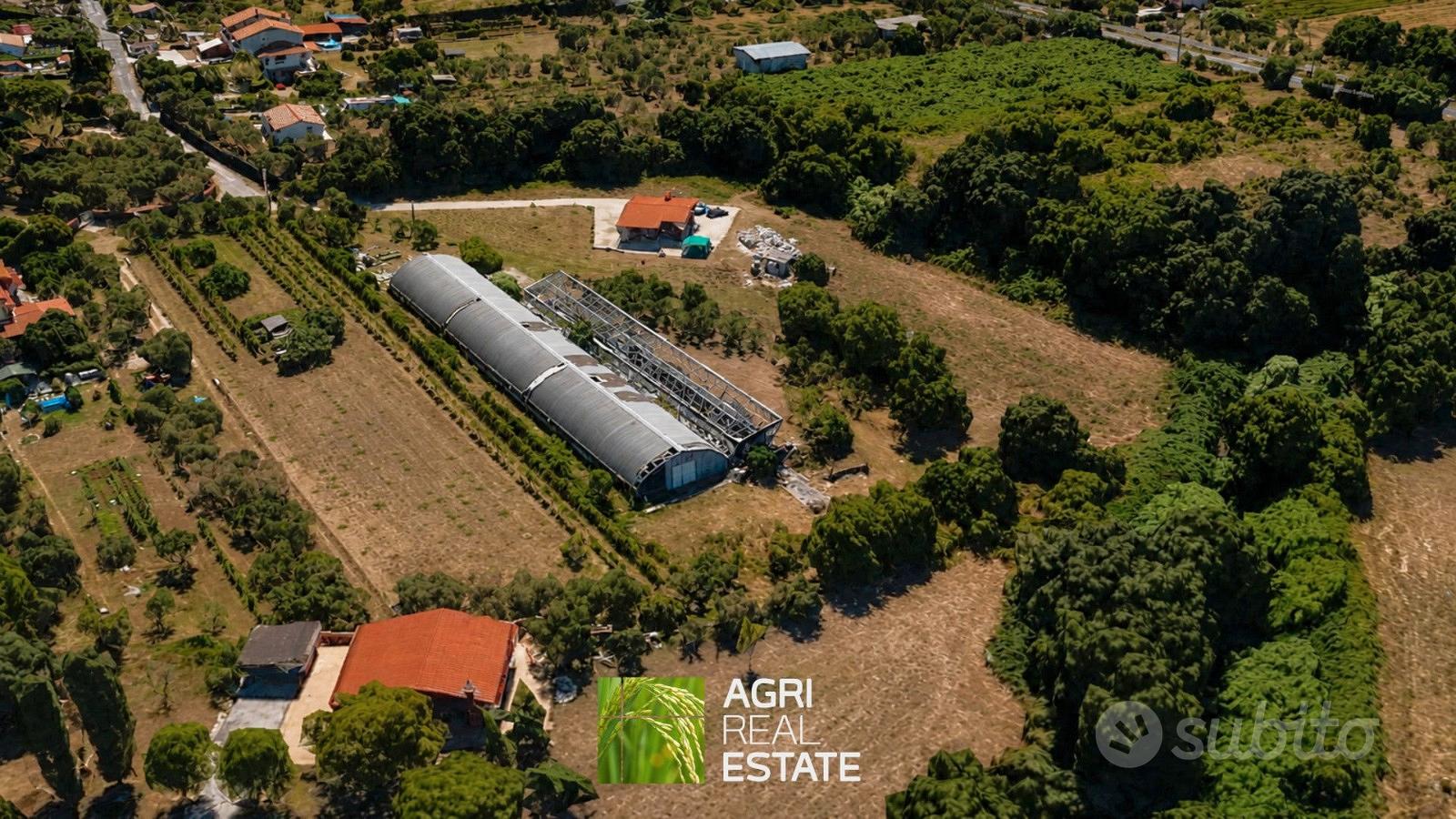 Capannone agricolo 840 MQ con terreno 5.450 mq - Vista 3