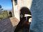 Immagine 11