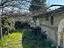 Immagine 11