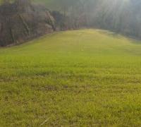 Terreno agricolo - Seminativo