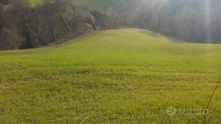 Terreno agricolo - Seminativo