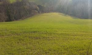 Terreno agricolo - Seminativo
