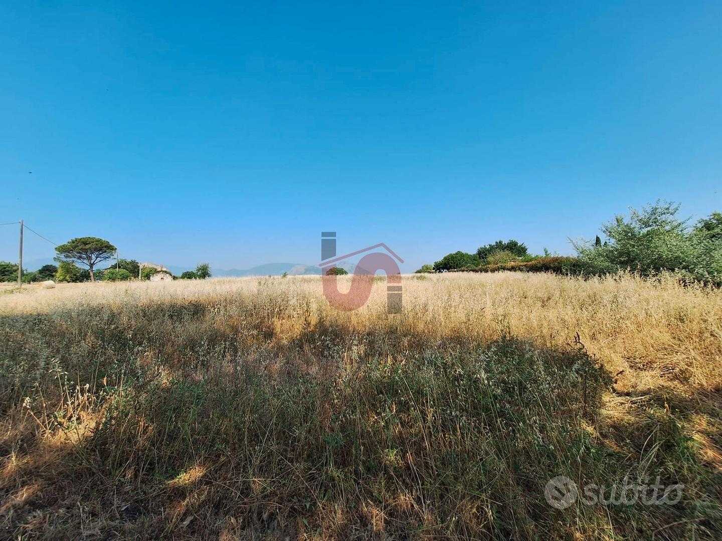 TERRENO AGRICOLO - Contrada le Murate - BENEVENTO - Vista 5
