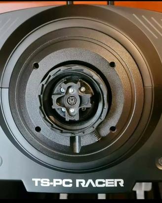Volante Thrustmaster TS-PC Racer