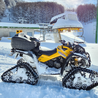 Quad Can-am con cingoli