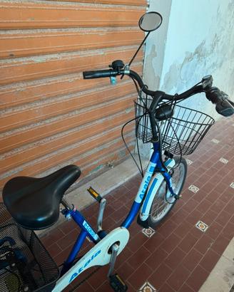triciclo elettrico per adulti