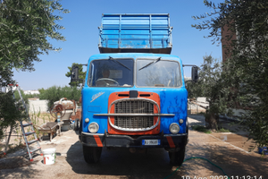 Camion Fiat 682N3