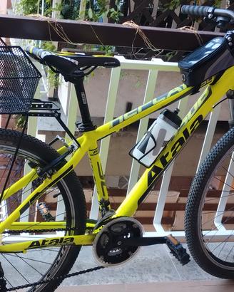 bicicletta  unisex buono stato