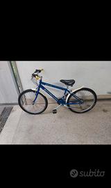 Mountain bike bambino