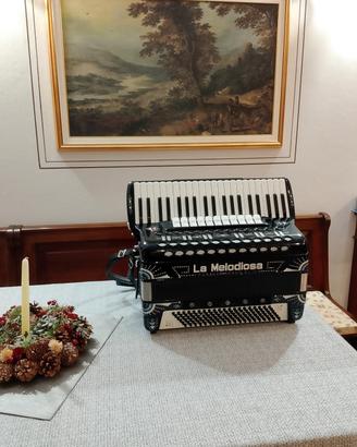 fisarmonica 
