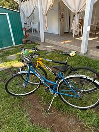 Bici varie misure