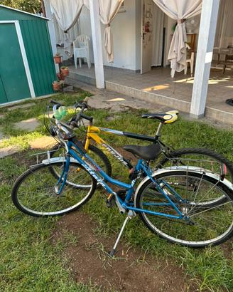 Bici varie misure