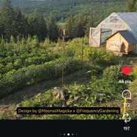 Piante da frutto talee e serre