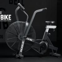 Rogue echo bike