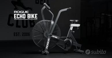 Rogue echo bike