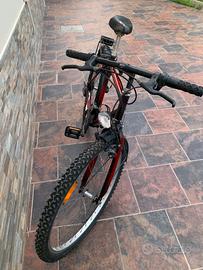 Bicicletta MTB