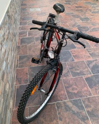 Bicicletta MTB