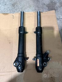 Steli forcella malaguti f12 r paioli