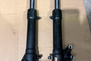 Steli forcella malaguti f12 r paioli