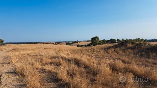 Terreno agricolo di 15 ha. - Fiumicino (RM) Tr.342