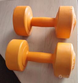 Coppia di pesi a maniglia da Kg. 2 ognuno