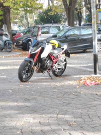 HORNET 750 ANNO 2023