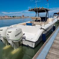 SEA FOX 287 CC + 2 X 250 hp EVINRUDE