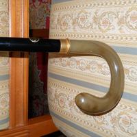 Bastone da passeggio di pregio