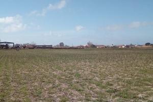 Terreno, zona Mondragone