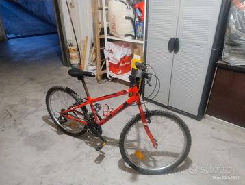 Bicicletta rossa e nera