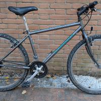 Mountain bike Specialized 26"
