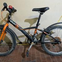 Bicicletta bimbo 20"