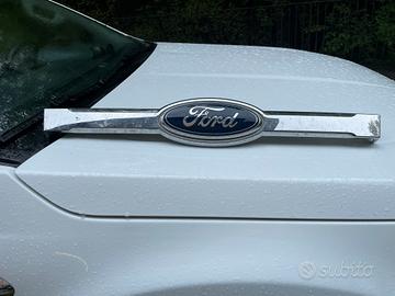 Mascherina Ford Renger