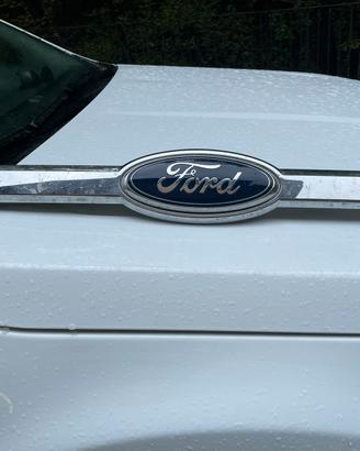 Mascherina Ford Renger