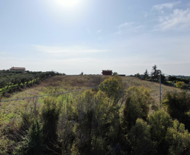 Terreno agricolo sopraelevato Ardea vicino mare